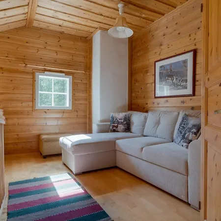 Alpine Ski-in Ski-out, Center By Aavalevi Apartment